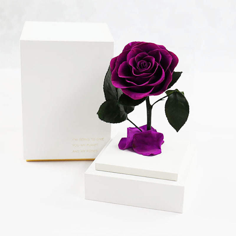 Single Everlasting Rose in Square Dome - Purple