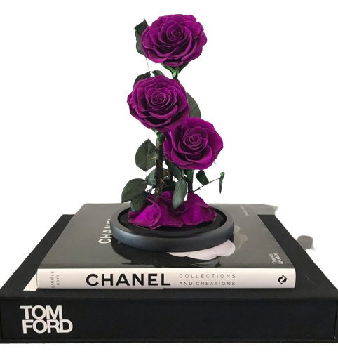 Trio Everlasting Rose Dome - Purple