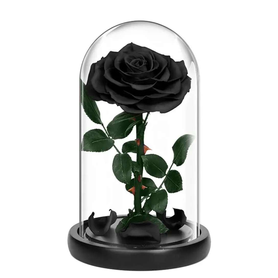 Small Single Rose Everlasting Dome - Purple