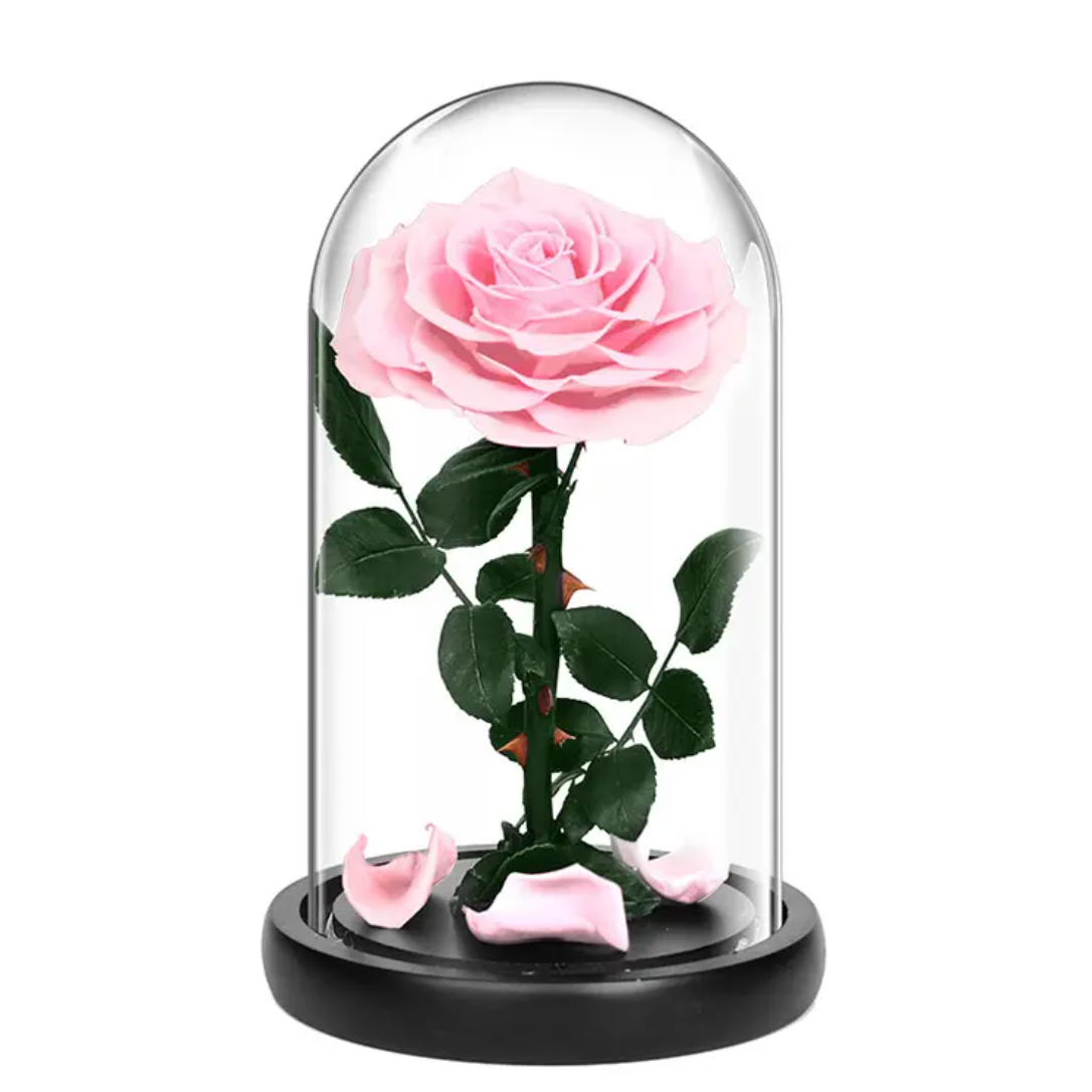 Small Single Rose Everlasting Dome - Purple