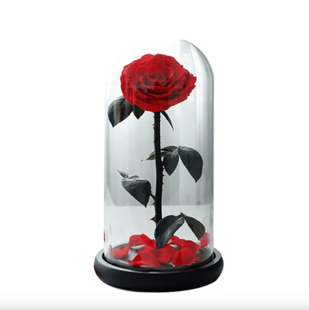 Large Single Rose Everlasting Dome - Purple