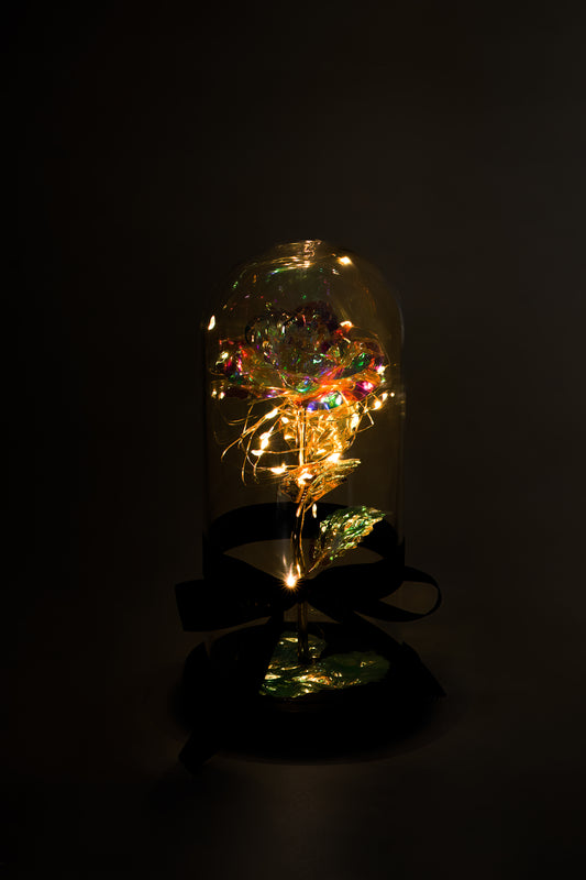 Galaxy Light Rose Dome - Aurora