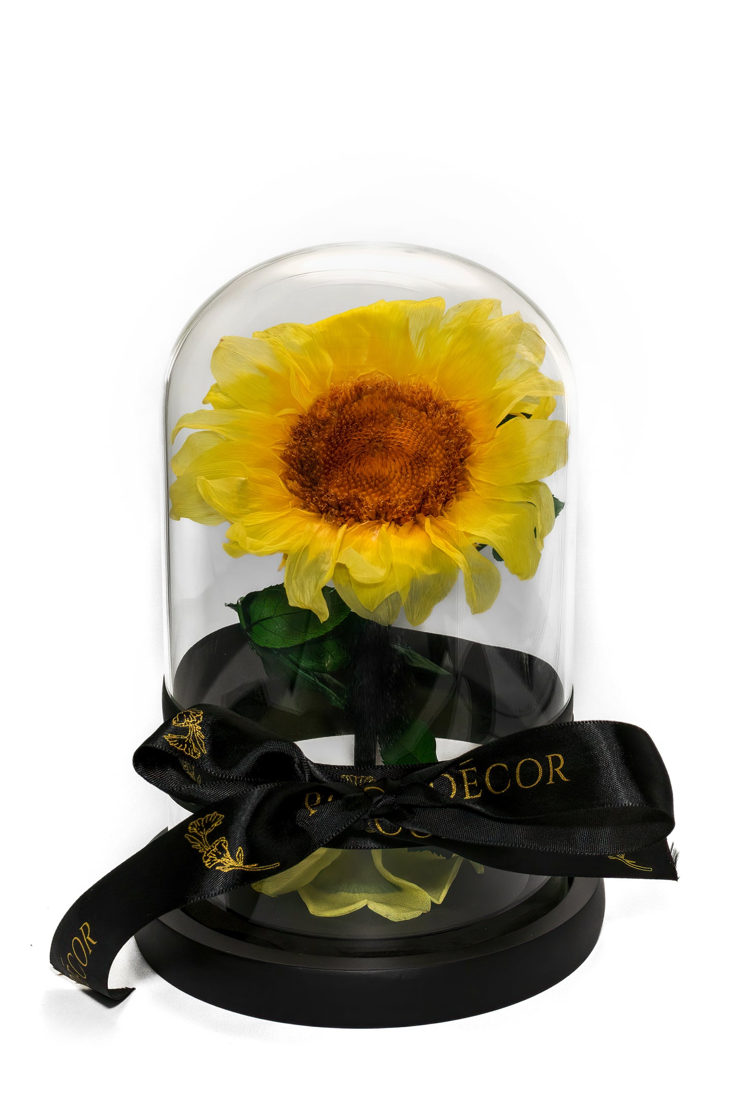 Single Sunflower Everlasting Dome