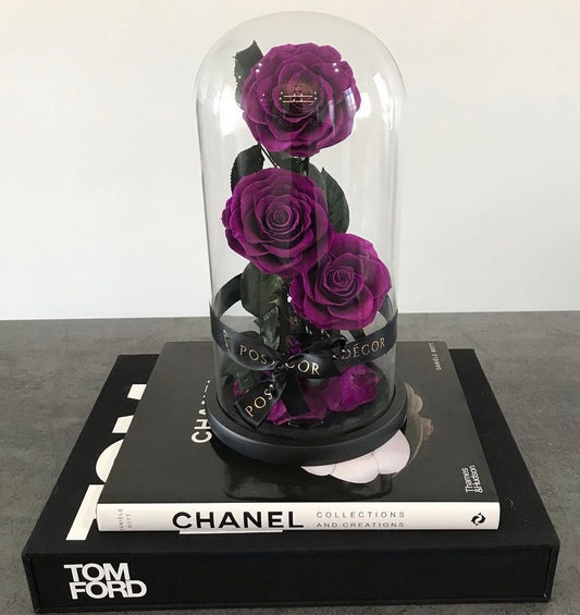 Trio Everlasting Rose Dome - Purple