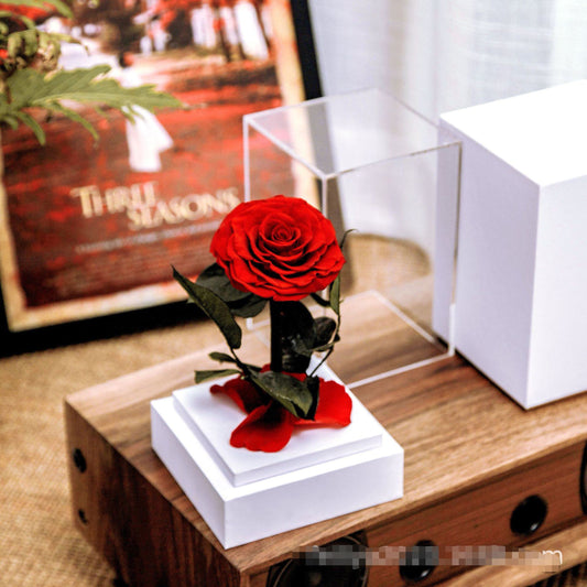 Single Everlasting Rose in Square Dome - Red