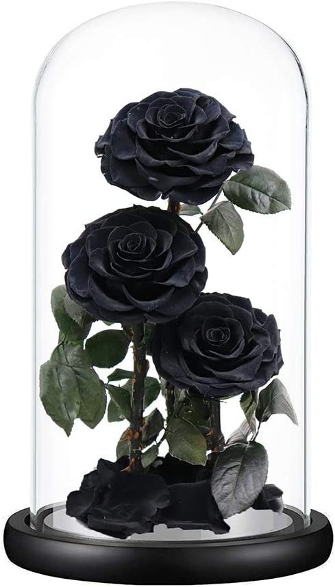 Trio Everlasting Rose Dome - Black