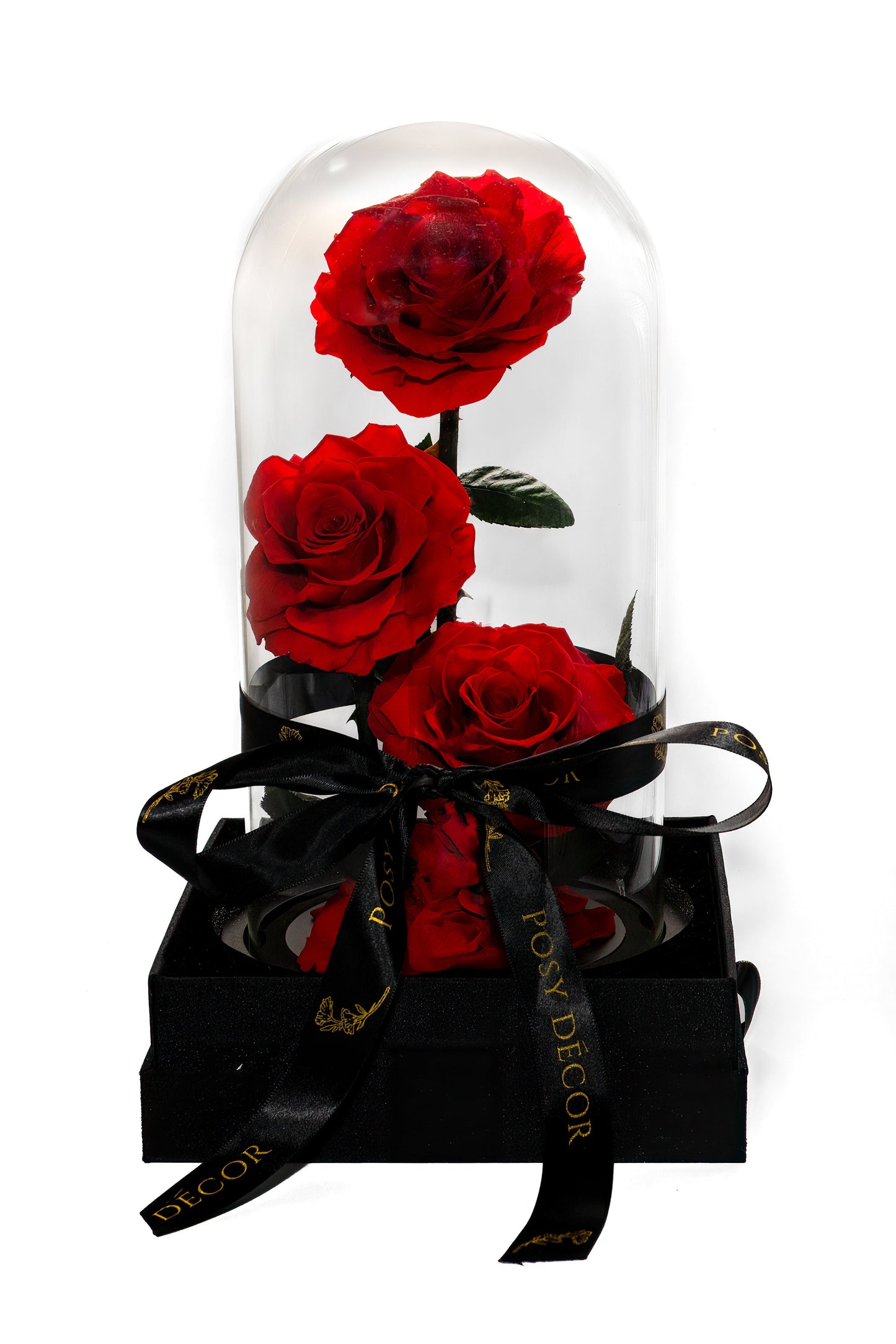 Trio Everlasting Rose Dome - Black