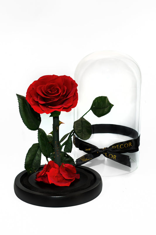 Small Single Rose Everlasting Dome - Dark Blue