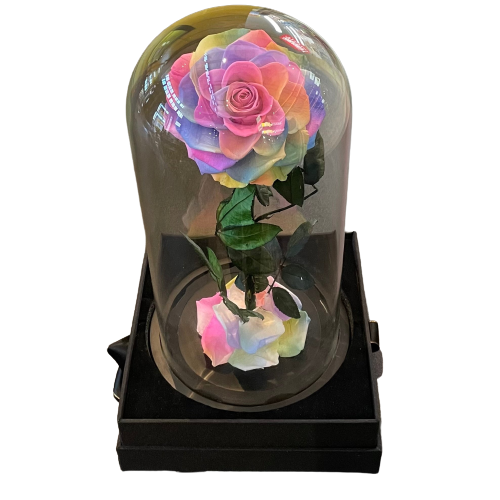 Large Single Rose Everlasting Dome - Pink