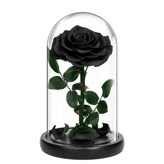 Small Single Rose Everlasting Dome - Black