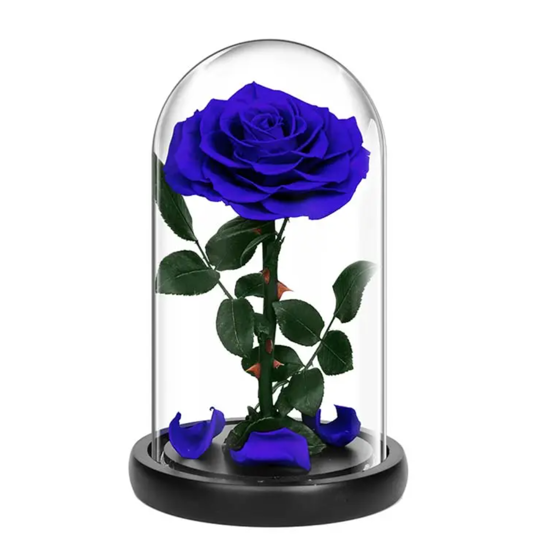 ALL