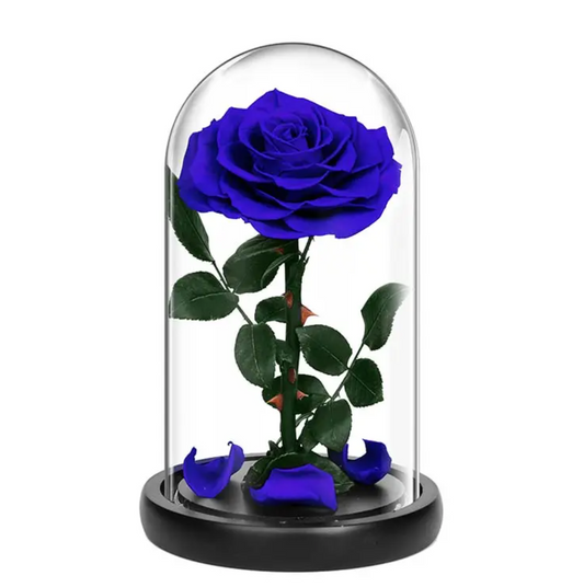 Small Single Rose Everlasting Dome - Dark Blue