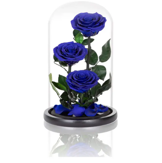 Trio Everlasting Rose Dome - Dark Blue