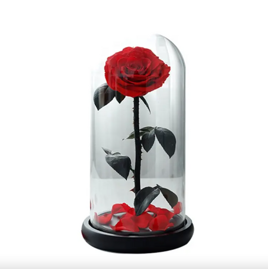 Large Single Rose Everlasting Dome - Red