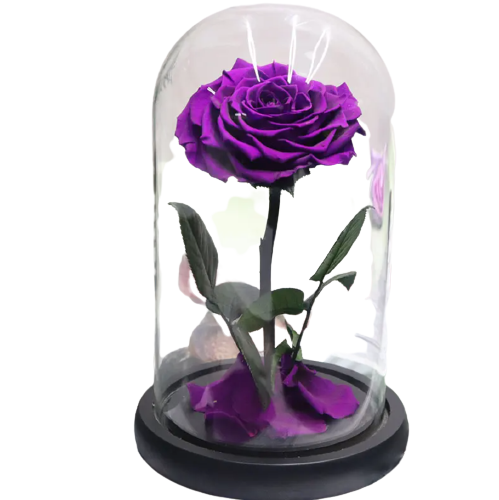 Small Single Rose Everlasting Dome - Purple