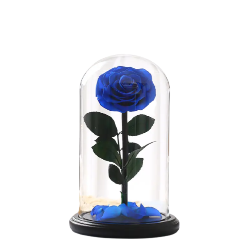 Large Single Rose Everlasting Dome - White