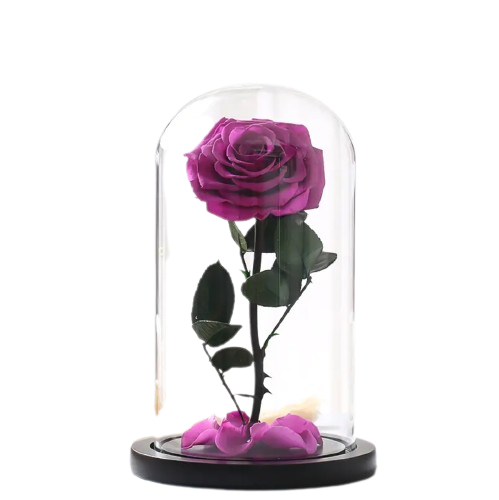 Large Single Rose Everlasting Dome - Black