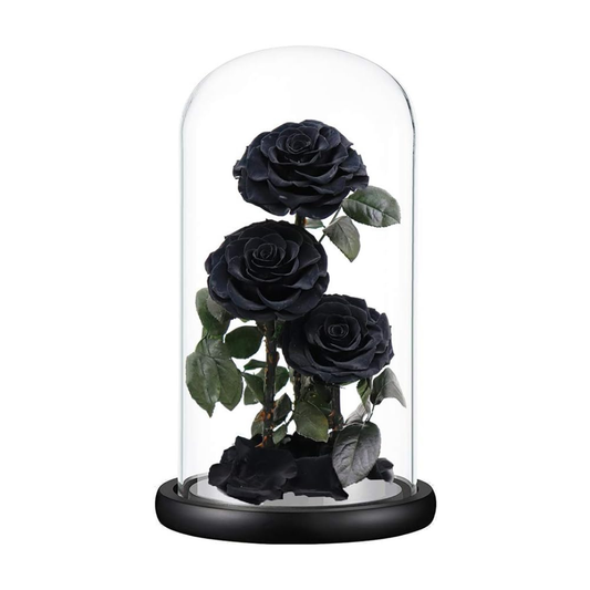 Trio Everlasting Rose Dome - Black