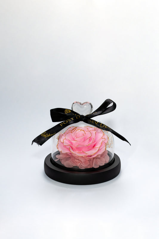 Immortal Enchanted Rose Dome - Pink