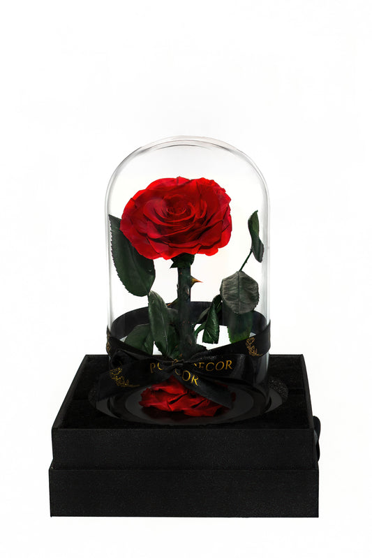 Small Single Rose Everlasting Dome - Red