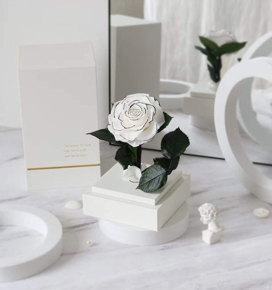 Single Everlasting Rose in Square Dome - White